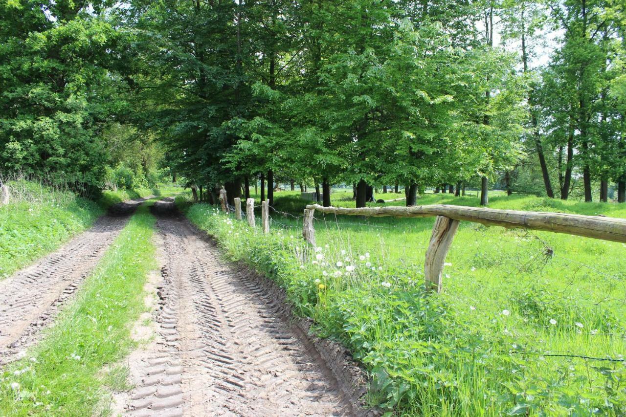 فيلا Haus Kornblume Oberlangen المظهر الخارجي الصورة